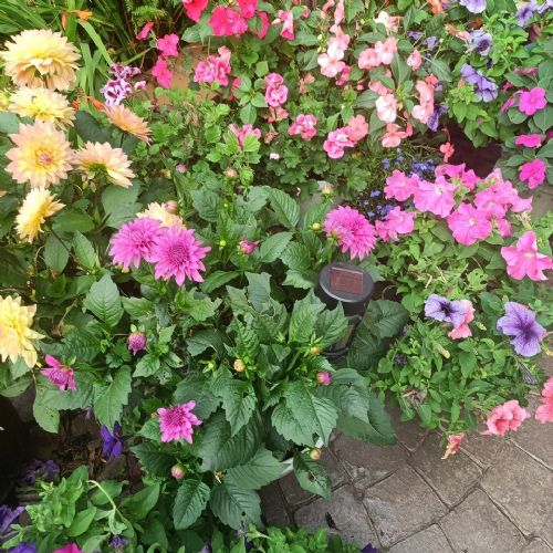 Working in the Garden